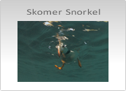 Skomer Snorkel