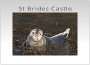St. Brides Castle