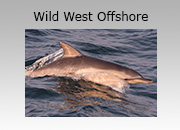 Wild West Offshore Adventure